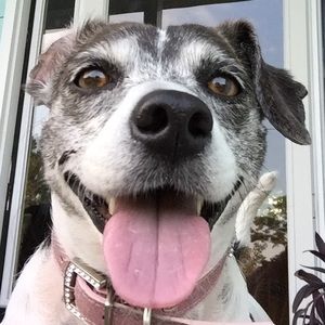 Meet your Posher, Bonnie